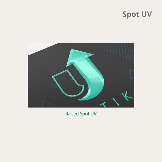 Raised Spot UV Flyers