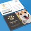 Standard Postcards